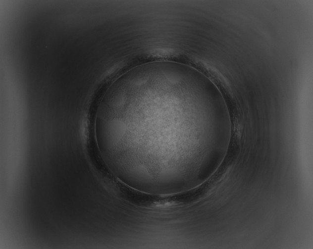 X0000100890591200806241233