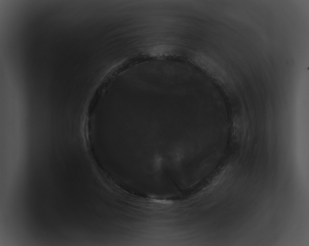 X0000100890592200806241233