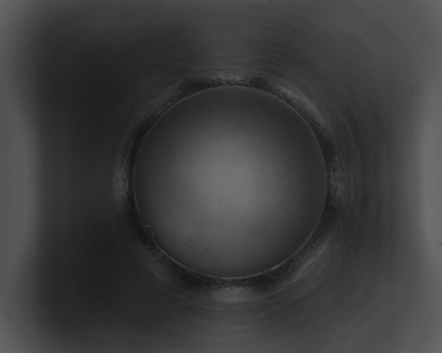 X0000100890593200806241233