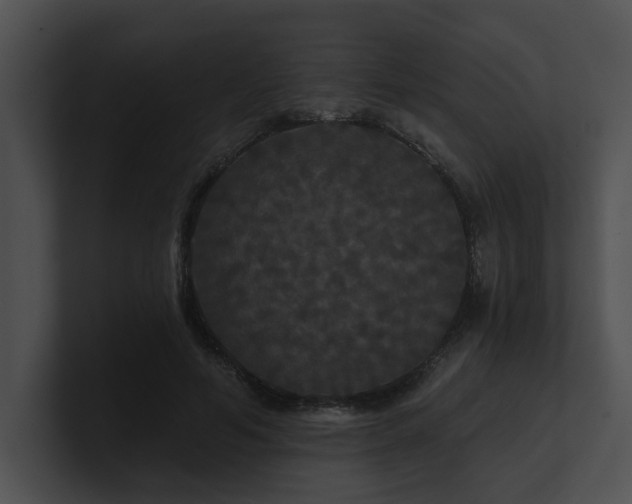 X0000100890594200806241233