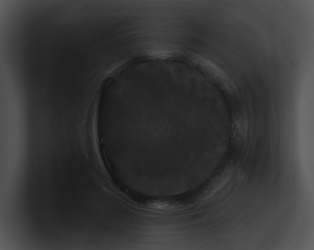 X0000100890596200806241233
