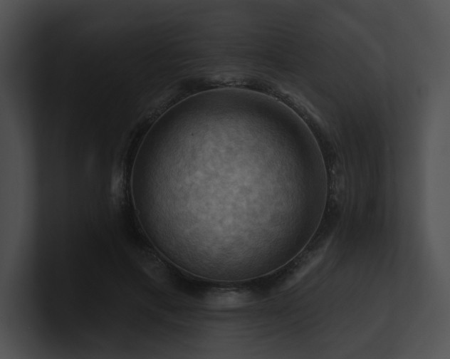 X0000100890597200806241233