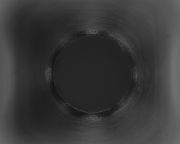 X0000100890598200806241233