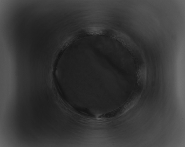 X0000100890600200806241233
