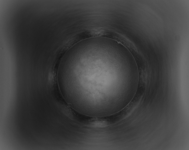 X0000100890601200806241233