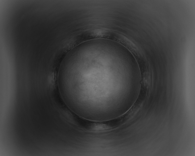 X0000100890605200806241233