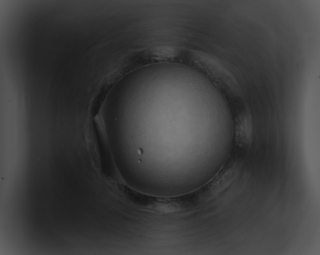 X0000100890608200806241233