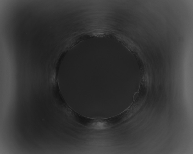 X0000100890610200806241233