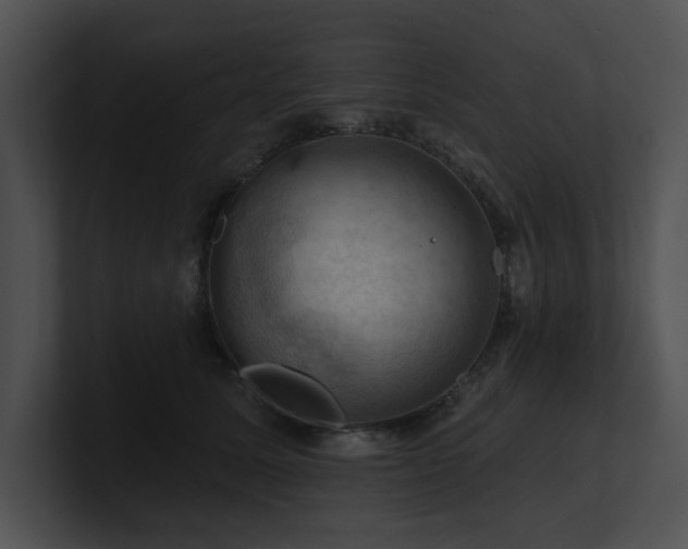 X0000100890611200806241233