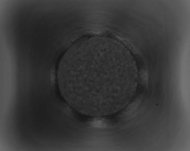 X0000100890612200806241233