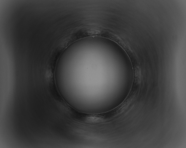X0000100890614200806241233