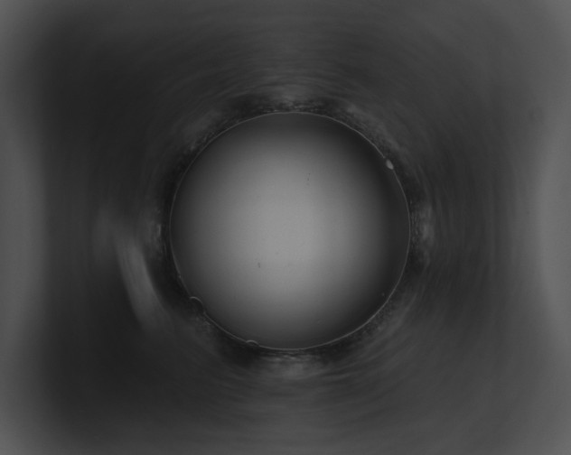 X0000100890615200806241233