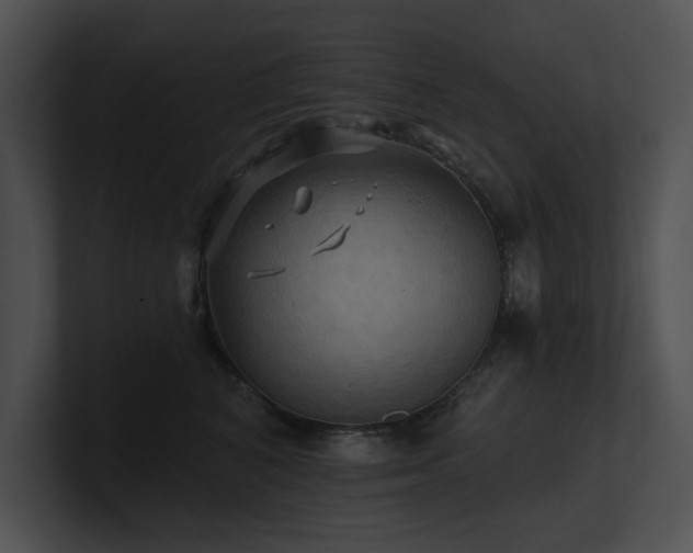 X0000100890616200806241233