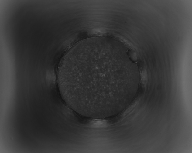 X0000100890617200806241233