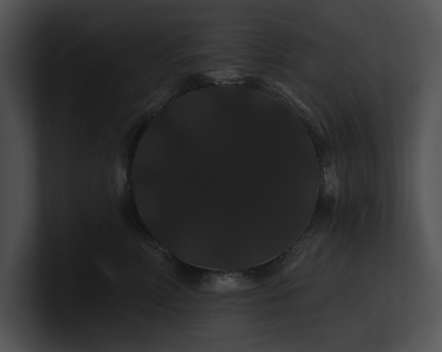 X0000100890618200806241233