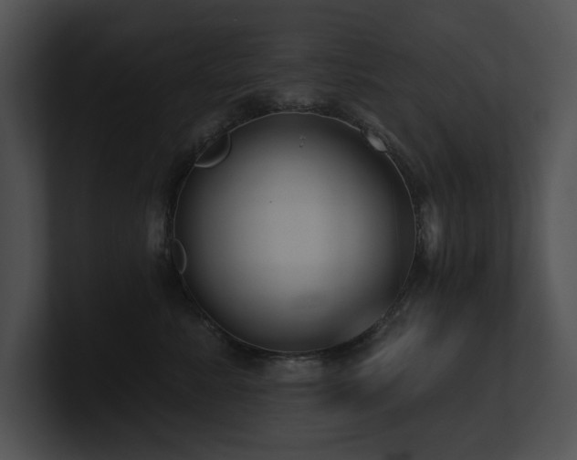X0000100890619200806241233