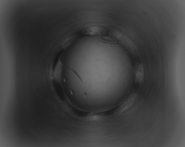 X0000100890620200806241233