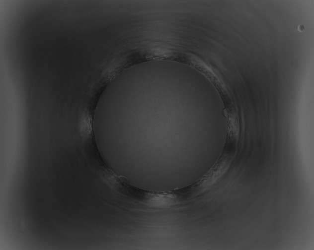 X0000100890621200806241233