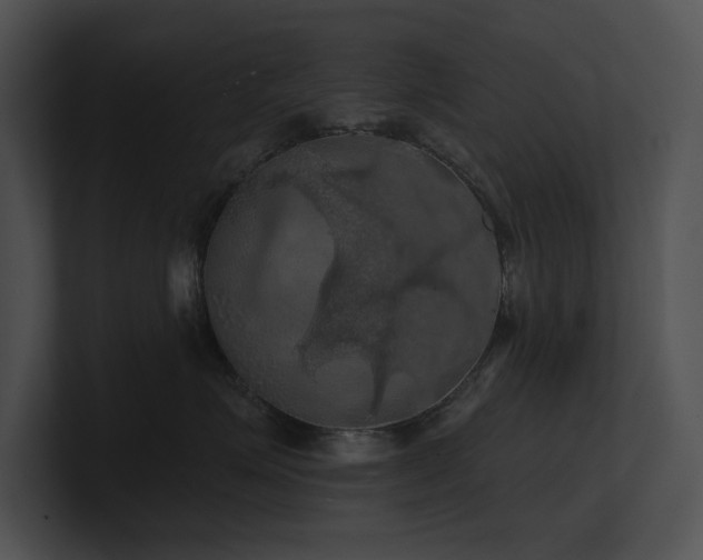 X0000100890623200806241233