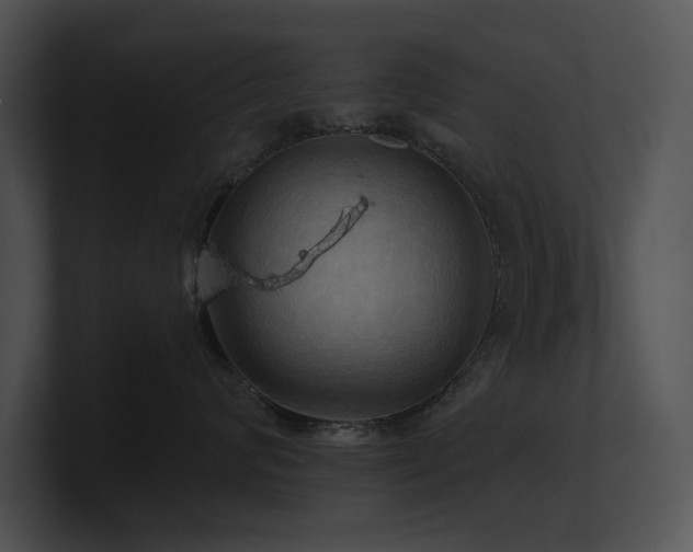 X0000100890624200806241233