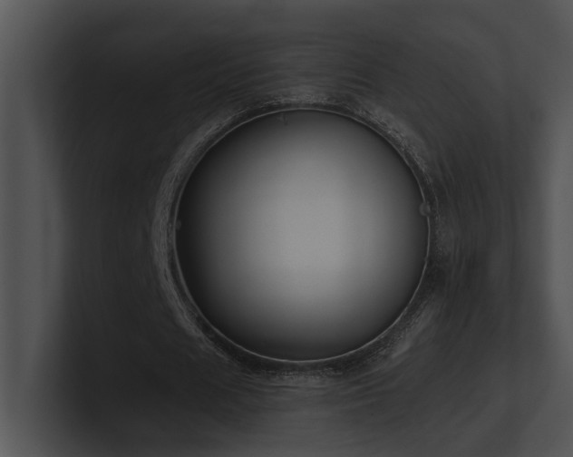 X0000100890625200806241232