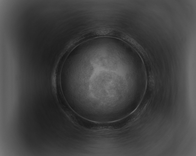 X0000100890626200806241232