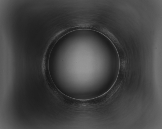 X0000100890628200806241232