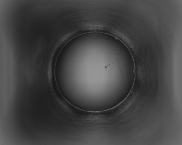 X0000100890629200806241232
