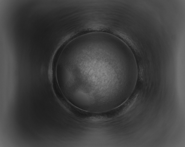 X0000100890630200806241232