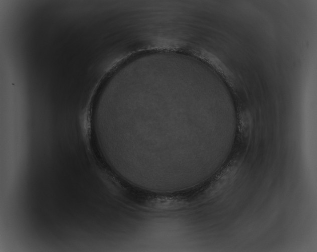 X0000100890632200806241232