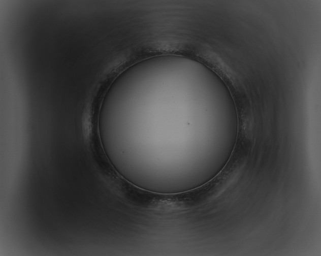 X0000100890635200806241232