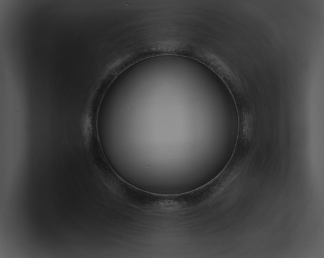 X0000100890636200806241232