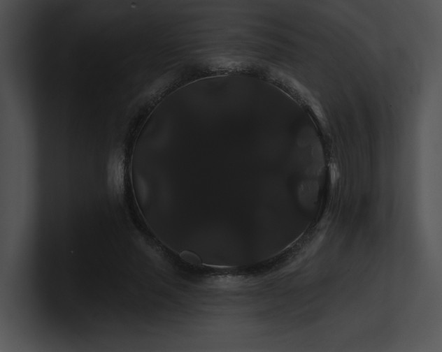 X0000100890637200806241232