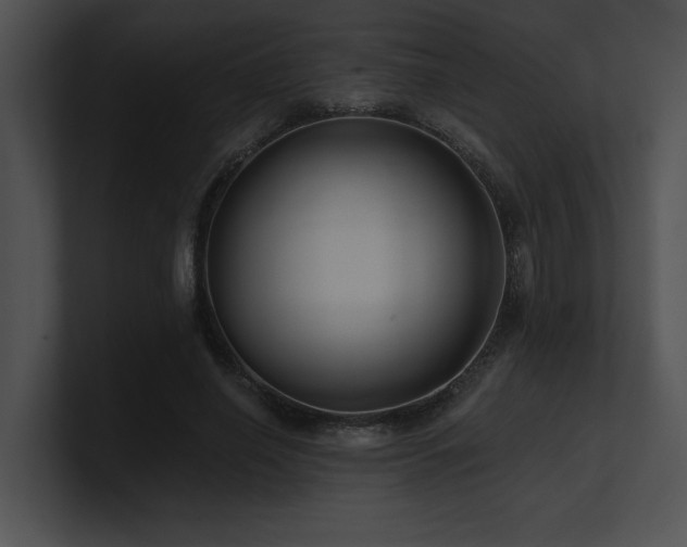 X0000100890638200806241232