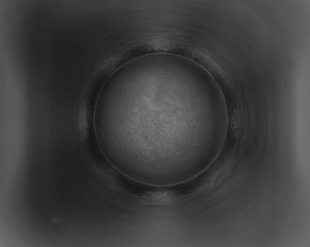 X0000100890639200806241232