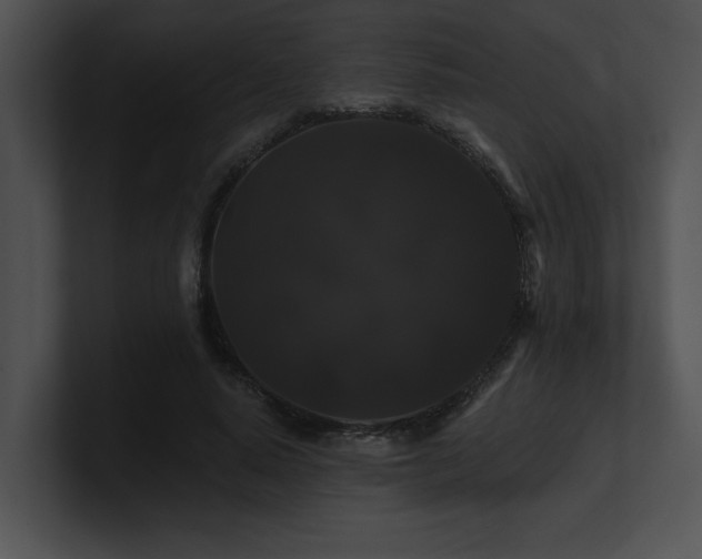 X0000100890640200806241232