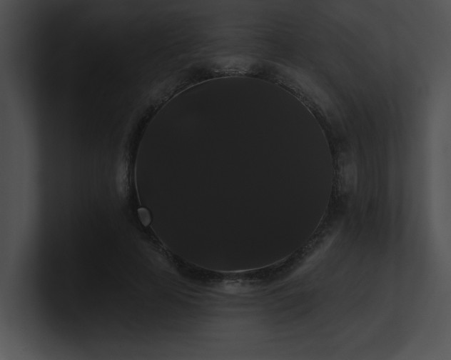 X0000100890641200806241232