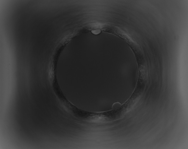 X0000100890642200806241232