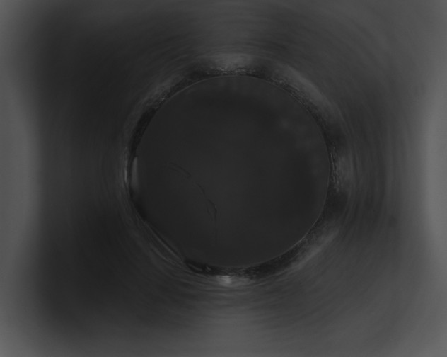 X0000100890644200806241232