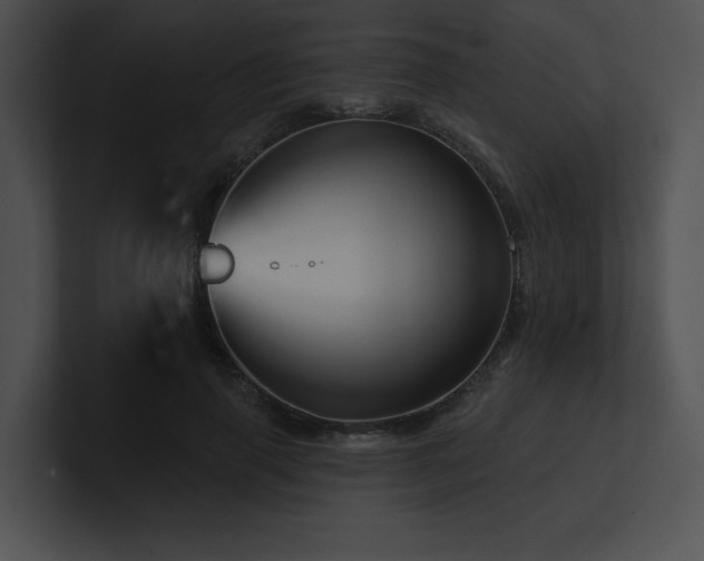X0000100890645200806241232