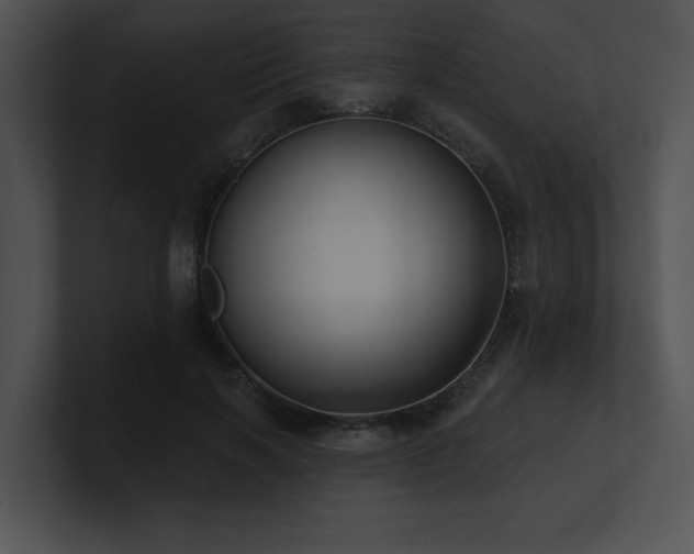 X0000100890646200806241232
