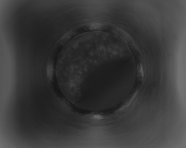 X0000100890648200806241232