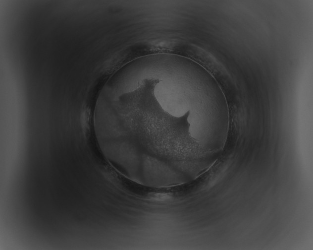 X0000100890649200806241232