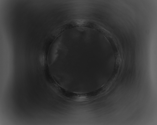 X0000100890651200806241232