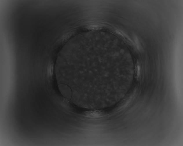 X0000100890652200806241232