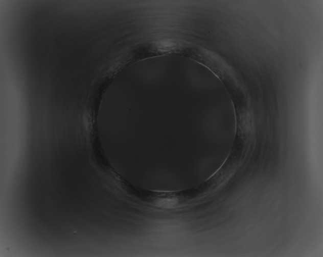 X0000100890653200806241232