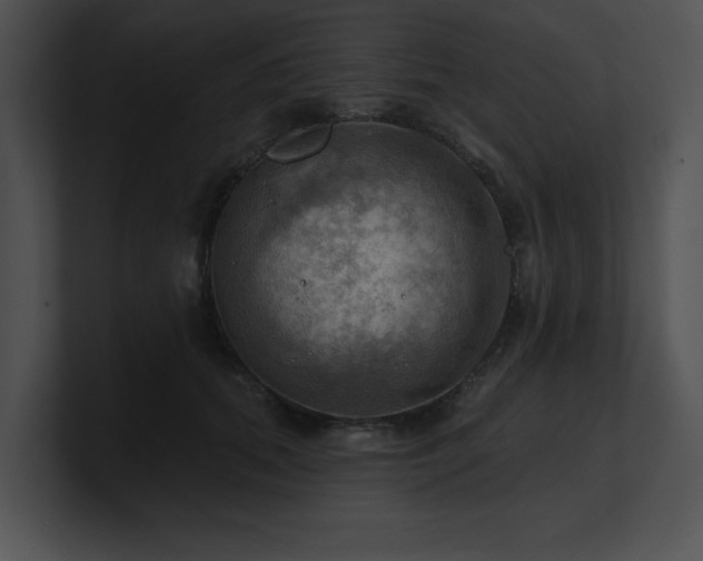 X0000100890655200806241232