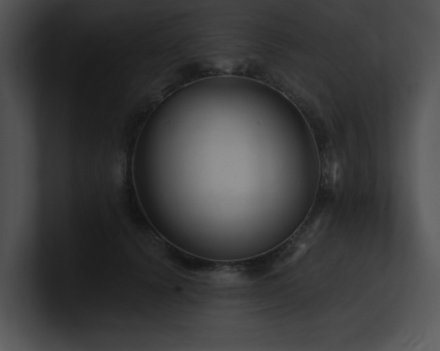 X0000100890656200806241232