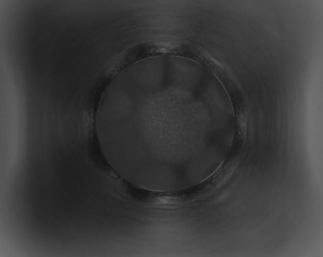 X0000100890657200806241232
