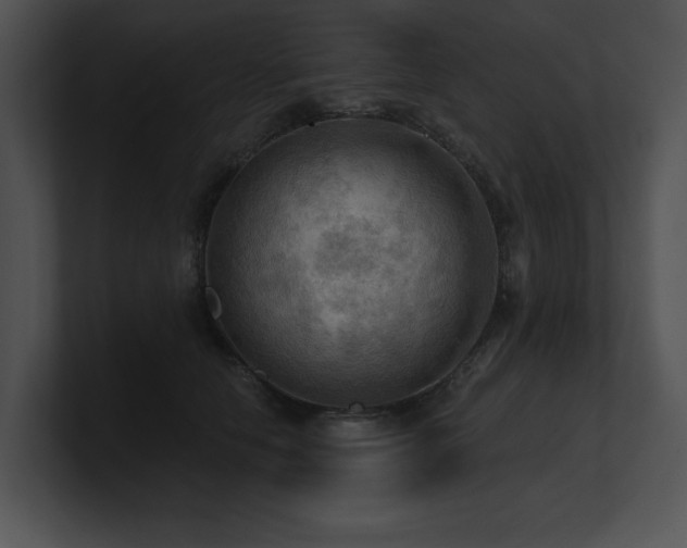 X0000100890658200806241232